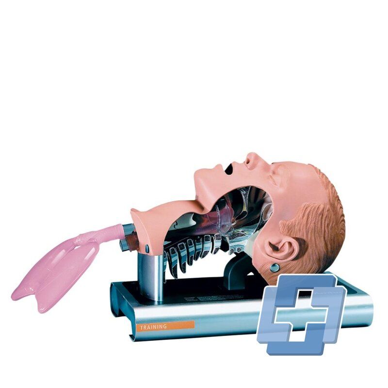 Ambu Airway management trainer