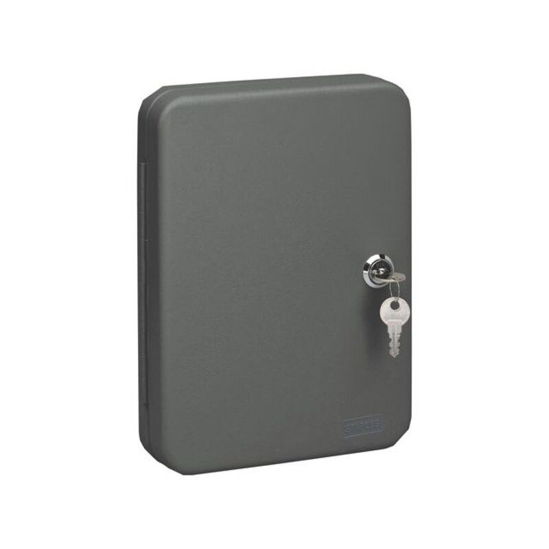 Staples Sleutelkast 20 haken, 250 x180 x45 mm grijs (1 Stuks)